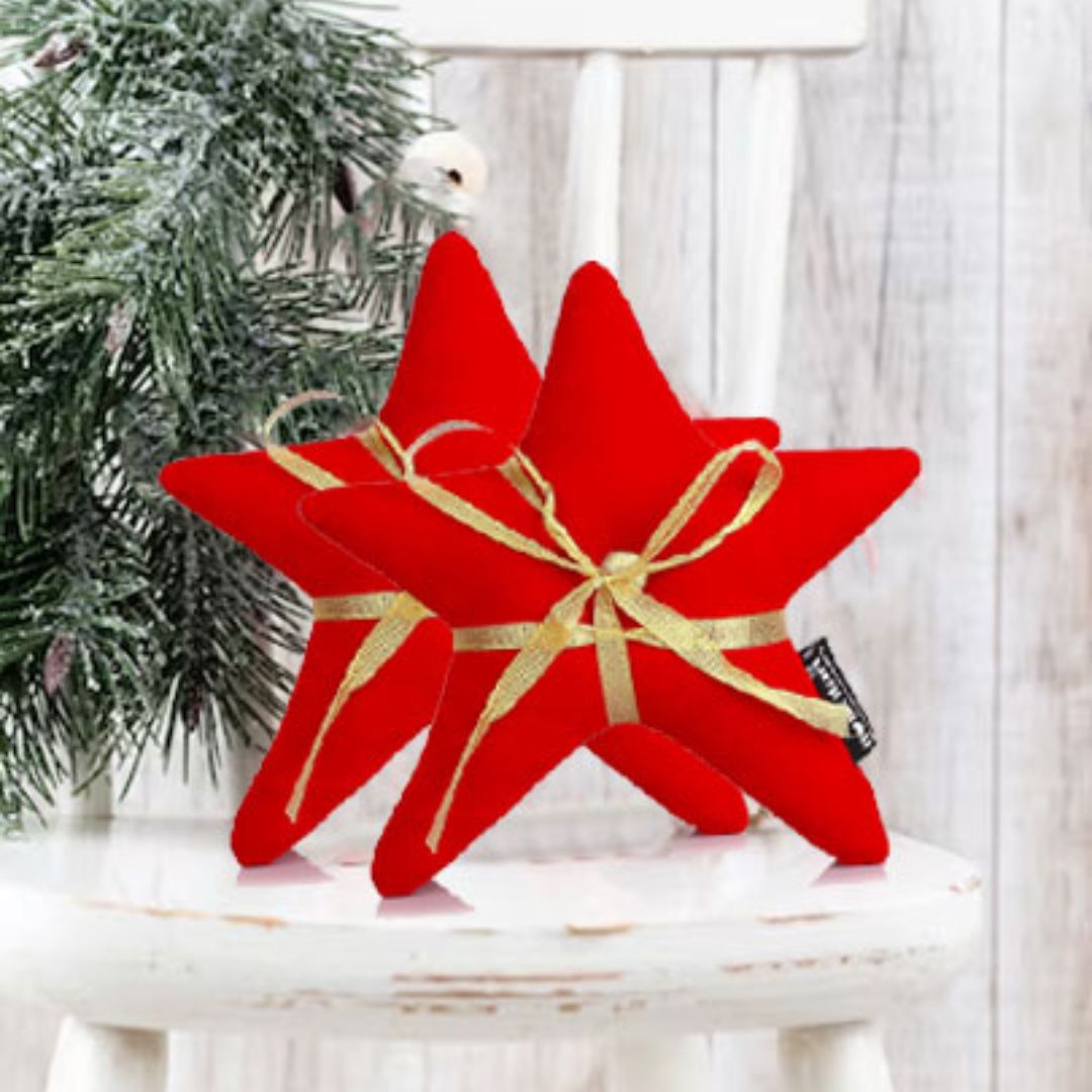 Seasonal Pillows and Throws